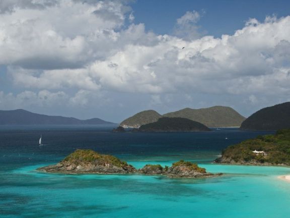Johnson's Reef