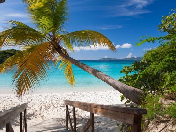 Trunk Bay