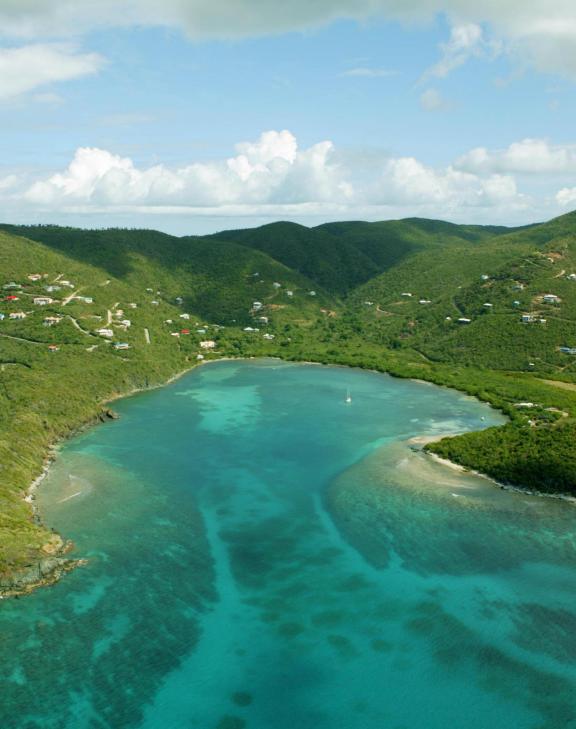 Fish Bay USVI