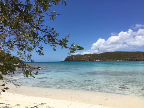Salt Pond Bay