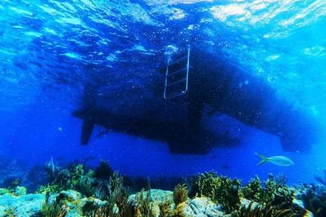 Review img # 18 of the yacht BAGHEERA L620