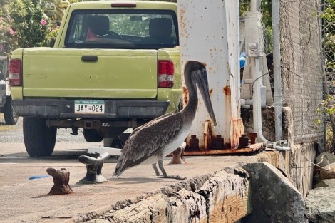 Review img # 6 of the yacht CELESTINE