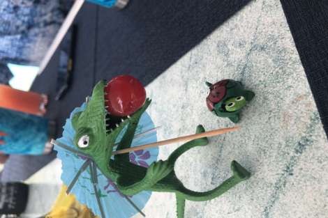 Review img # 48 of the yacht DEVINE SAILING