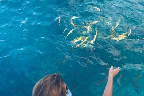 Review img # 37 of the yacht DEVINE SAILING