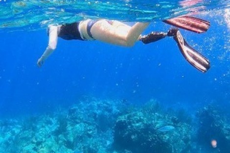 Review img # 16 of the yacht DRAGONFLY