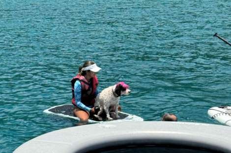 Review img # 8 of the yacht DRAGONFLY