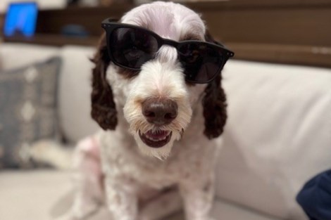 Review img # 3 of the yacht DRAGONFLY