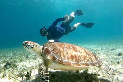 Review img # 76 of the yacht EARNOUT