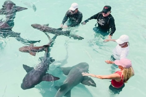 Review img # 20 of the yacht EARNOUT