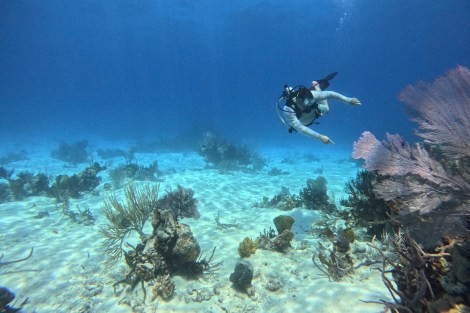 Review img # 18 of the yacht EARNOUT