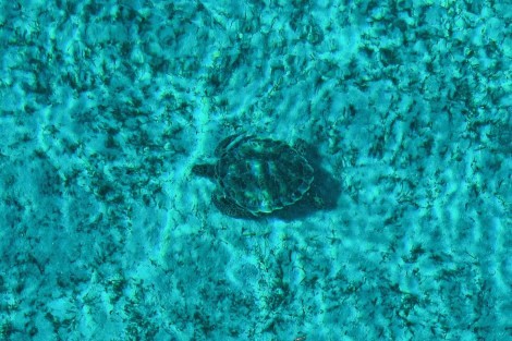 Review img # 12 of the yacht FOXY LADY