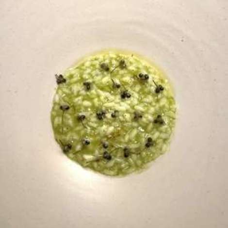 Food onboard JAN’S FELINE # 9