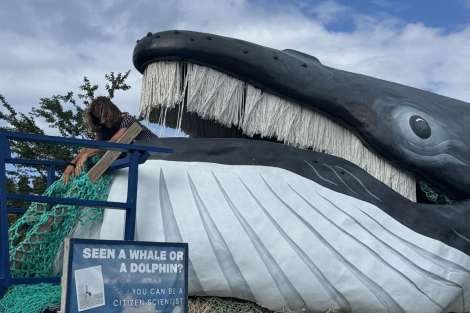 Review img # 11 of the yacht KASIOPEJA