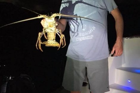 Review img # 101 of the yacht LE REVE L620 ESSENCE