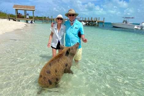 Review img # 45 of the yacht LE REVE L620 ESSENCE