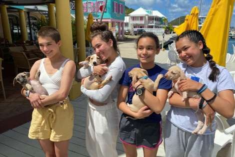 Review img # 10 of the yacht LE REVE L620 ESSENCE