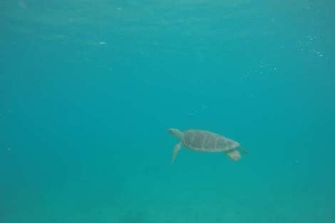 Review img # 74 of the yacht MAKIN MEMORIES