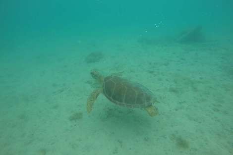 Review img # 75 of the yacht MAKIN MEMORIES