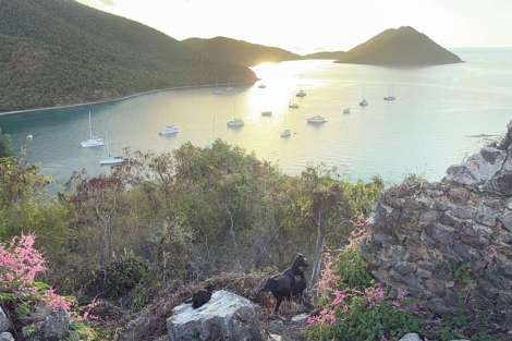 Review img # 26 of the yacht MAKIN MEMORIES