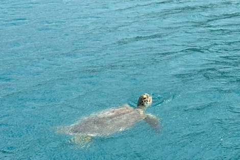 Review img # 13 of the yacht MAKIN MEMORIES