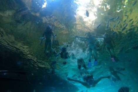 Review img # 75 of the yacht MUCHO GUSTO