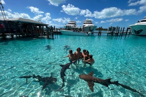 Review img # 72 of the yacht MUCHO GUSTO