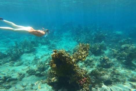 Review img # 22 of the yacht MUCHO GUSTO