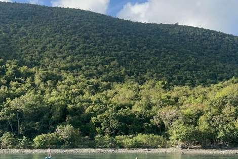 Review img # 7 of the yacht NO INHERITANCE