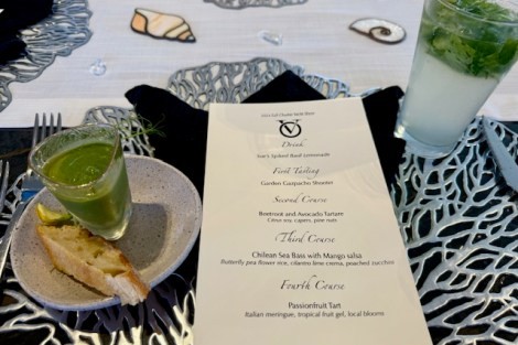 Review img # 19 of the yacht OCEAN VIBES