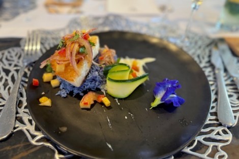 Review img # 20 of the yacht OCEAN VIBES