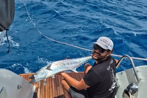 Review img # 29 of the yacht ODYSSEA