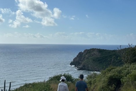 Review img # 33 of the yacht OHANA