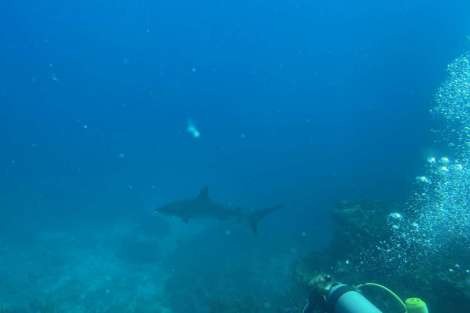 Review img # 1 of the yacht OHANA