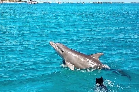 Review img # 33 of the yacht RUBICON