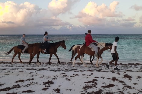 Review img # 11 of the yacht SAIL AWAY