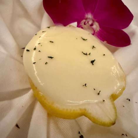 Food onboard SOGGY DOGGY # 9