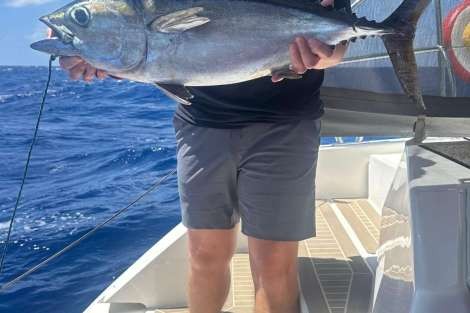 Review img # 2 of the yacht SOMMER