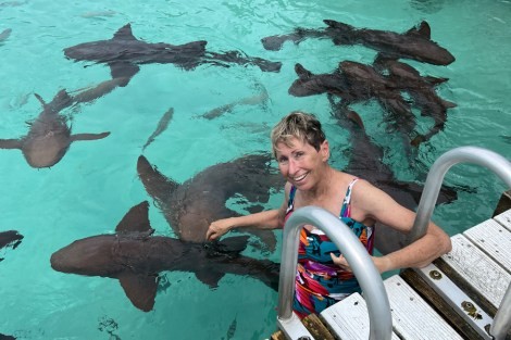 Review img # 14 of the yacht TAHINA