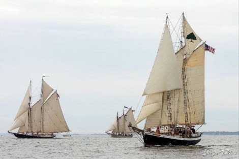 Review img # 13 of the yacht TREE OF LIFE